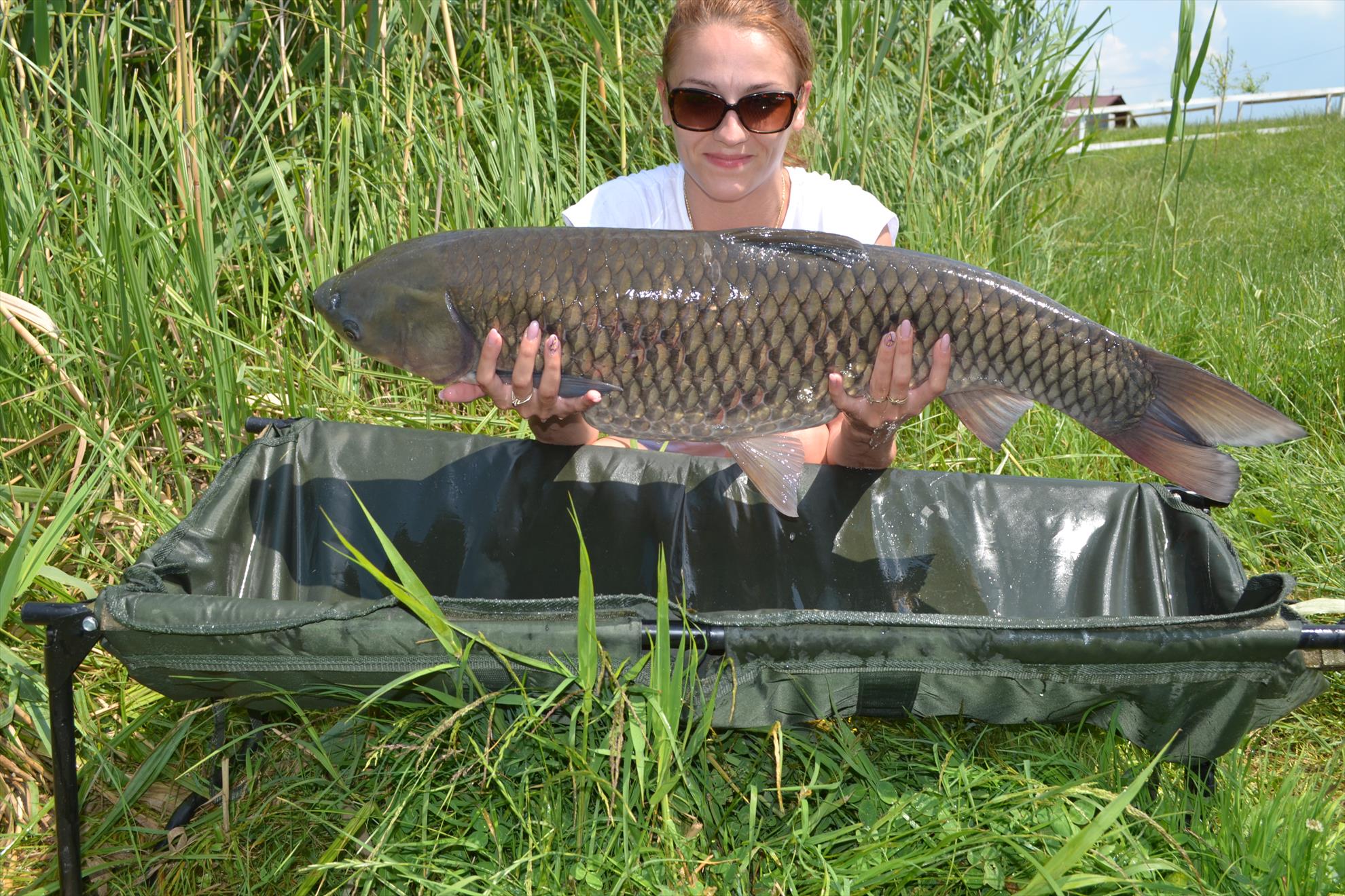 Pescuit Balta Lazar 6-8 iunie 2014 - dsc0044.JPG